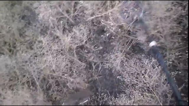 Коп за ДРУЗЕЙ!!! УДАЧНО!!! 12 декабря 2015 ЗАПИСКИ ШМУРДИОЛОГА. смотреть онлайн