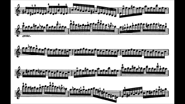 Paganini, Niccolò Moto Perpetuo op.11 solo violin (+piano) смотреть онлайн
