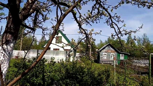 #гармонь#под окном широким# смотреть онлайн