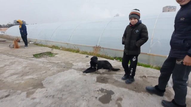 FARG'ONA SHAHRI BESHBOLA IT BOZORI. Layk bosishni unutmang. смотреть онлайн