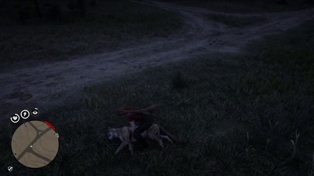 9 Locations Cougar Puma Red Dead Redemption 2 Online смотреть онлайн