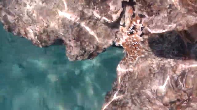 Чистая прозрачная вода Красного моря. смотреть онлайн