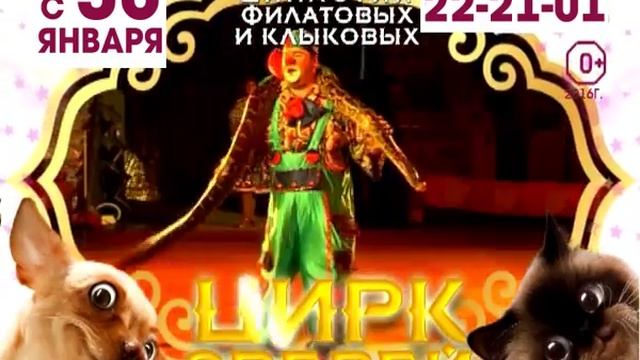 Московский цирк зверей династии Филатовых и Клыковых смотреть онлайн