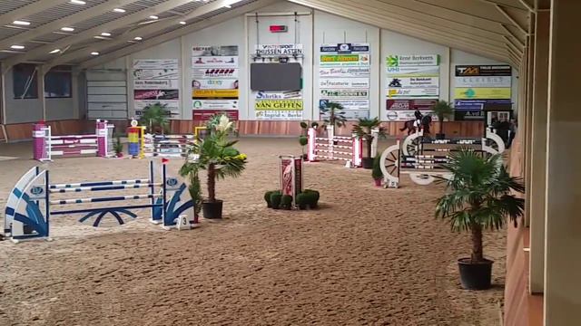 Cantaire-O, Canturo x Voltaire gelding 2007 смотреть онлайн