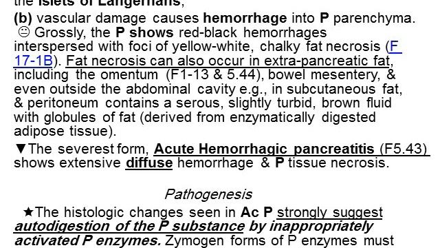20th Lecture Video GIT = 1 Pancreas Path wiswasi смотреть онлайн