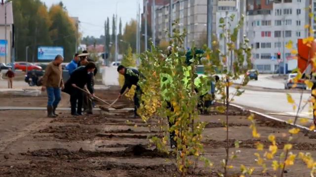 На продолжении улицы Ленина высадили 300 берез смотреть онлайн