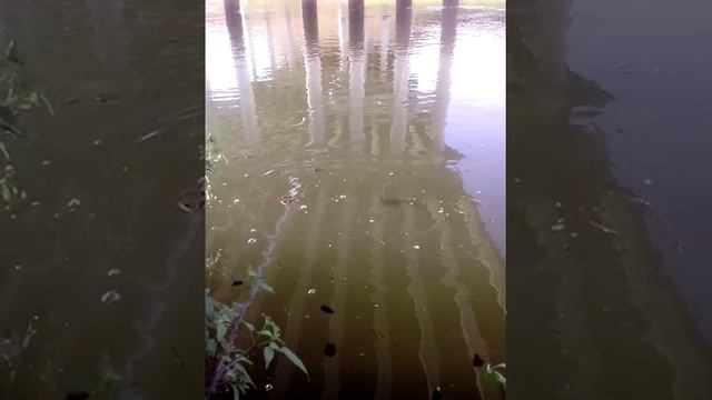 Рыбалка на Красивой мече смотреть онлайн