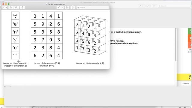 PyTorch for Deep Learning with Python Bootcamp | 14 | PyTorch Basics What Is a Tensor? смотреть онлайн