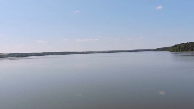 природа лето Штраус смотреть онлайн