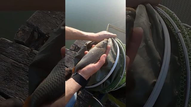 рыбалка в Карповке смотреть онлайн