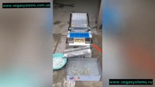 Очистка перепелиных яиц, полуавтоматическая машина Vega Middle смотреть онлайн