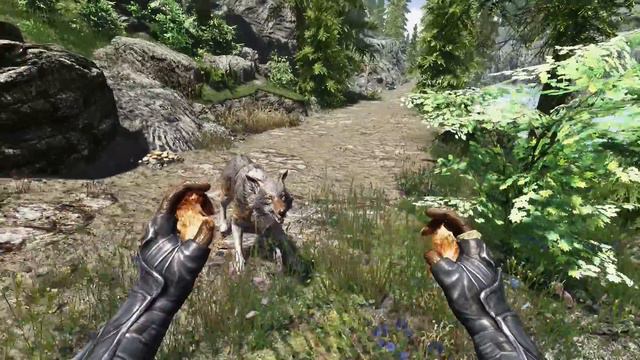 Traduction de Mod Skyrim fr Better harvesting смотреть онлайн