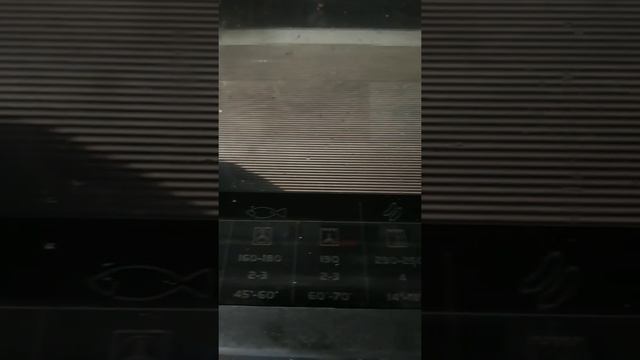 обзор ВСТРАИВАЕМЫЙ ДУХОВОЙ ШКАФ HANSA BOEI 68412 из сулпак смотреть онлайн