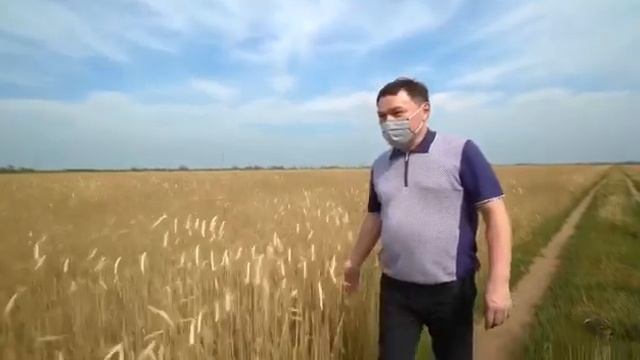 Рабочий визит акима Акмолинской области. ТОО "Агрофирма "Greenstar" смотреть онлайн