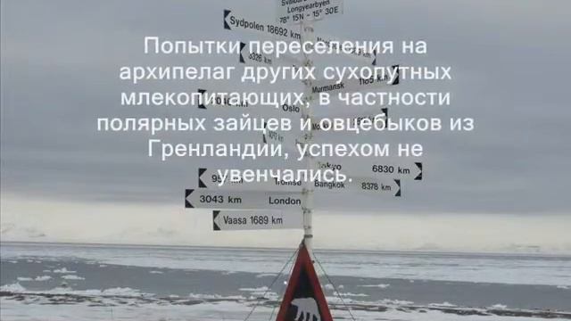 JW/W2NAF JW/K8GU Шпицберген смотреть онлайн