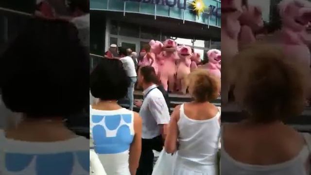 Седьмой континент смотреть онлайн