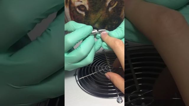 Вытяжка Emil X2. Довольна как слон смотреть онлайн