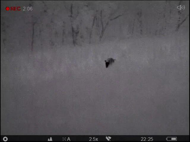 Pulsar Helion 2 XP50