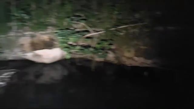 LA MALDICI0N DE LAS MUÑECAS Y EL CENOTE смотреть онлайн