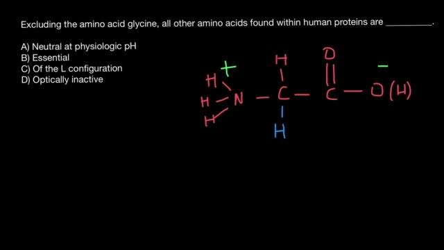 L and D Amino Acids Explained смотреть онлайн