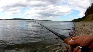 Рыбалка с ночевкой на Ангаре! Фидер,спиннинг ультралайт!!!