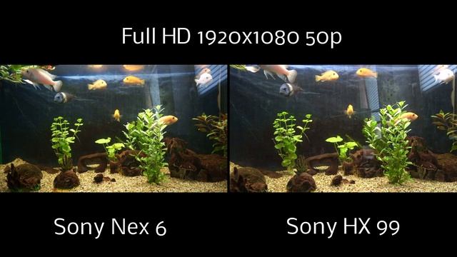 Video Test Sony Nex6 vs. HX99 (Full HD) 4K Video смотреть онлайн