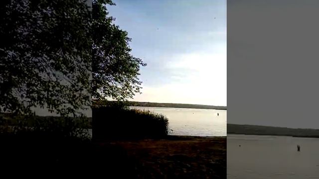 😍😍😍что посеешь то пожнёшь а мы за ЗОЖ 😍😍😍 смотреть онлайн