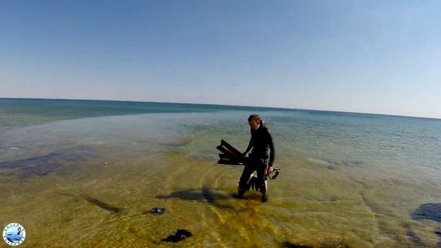 Подводная охота #37 Замена тяжей на берегу . Обжор сухого пайка армии Казахстан смотреть онлайн