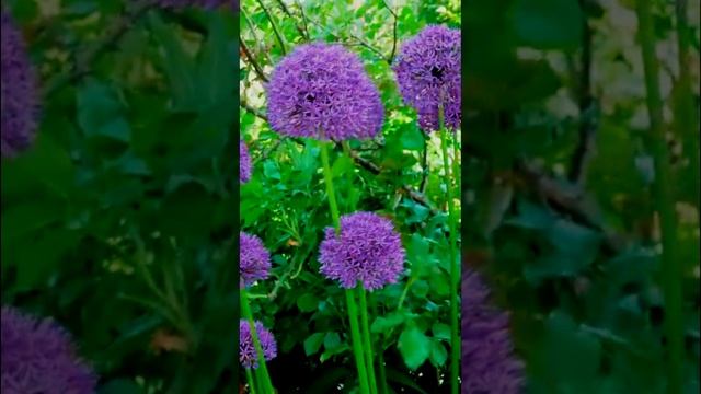 первоцветы концовка смотреть онлайн