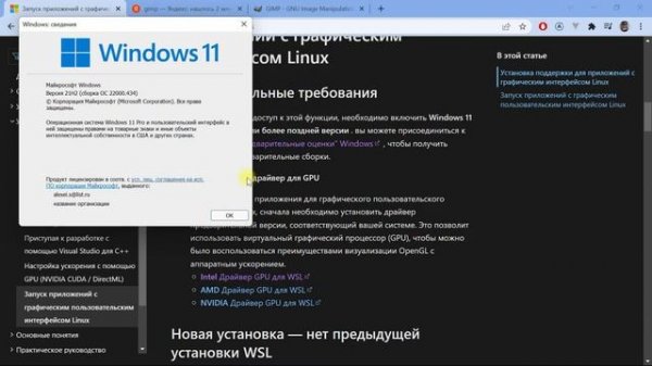 #6 Linux GUI  in WSL/WINDOWS11