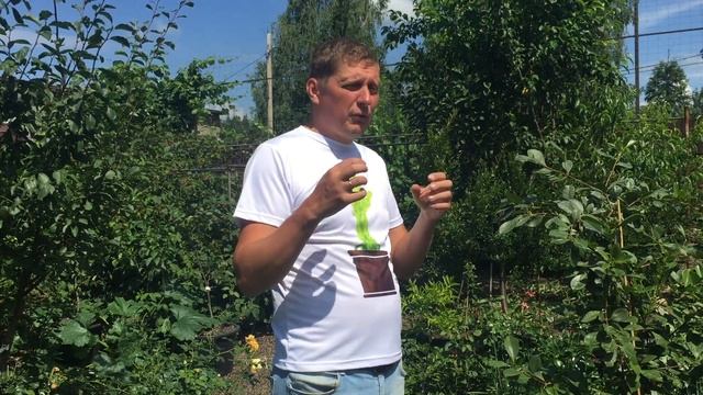 Гуава земляничная пробуем плоды смотреть онлайн