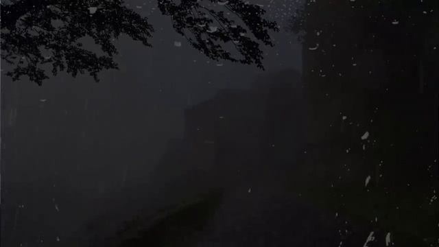 Легкий сон менее чем за 3 минуты ~ шум дождя и грома в туманном лесу ночью смотреть онлайн