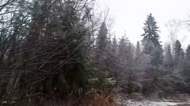 После завтрака в ТАЁЖНОЙ ИЗБЕ! Нашёл ловушку для рыбы. Пихта для баньки. Жизнь в лесу. смотреть онлайн