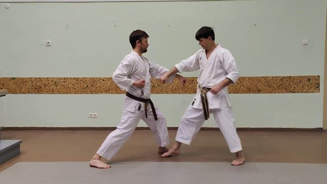 Heian Shodan kata Oyo bunkai (full kata) смотреть онлайн