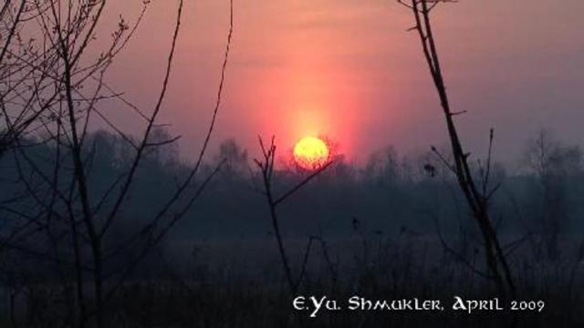 Ускользающая красота смотреть онлайн