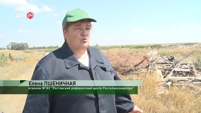 Незаконная свалка в Веселовском районе Ростовской области.mp4 смотреть онлайн