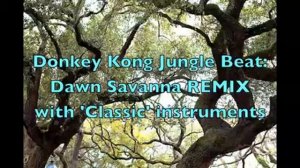 Donkey Kong Jungle Beat: Dawn Savanna Retro Remix