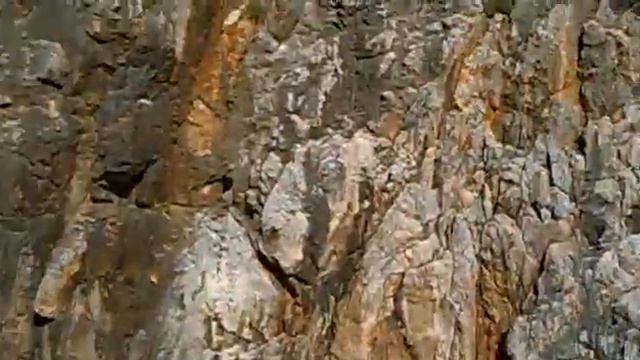 ЖЕСТЬ!!!!Русские в Турции. Аланья смотреть онлайн