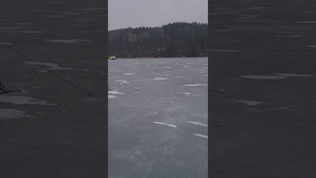 оз.Балсай. В второй раз в жизни ловил рыбу Ряпушка(Seliava). смотреть онлайн