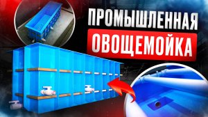 Промышленная овощемойка барботажная (30 тонн/смену). Аналог нержавейки в 2.5 раза дешевле