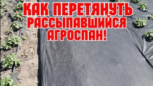 Как быстро перетянуть, рассыпавшийся агроспан!