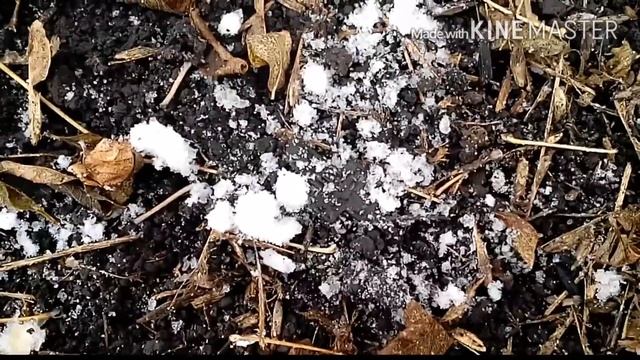 Коп по старым огородам смотреть онлайн