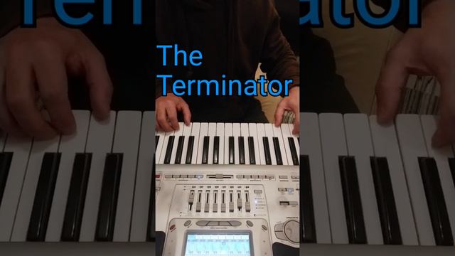 "The Terminator (COVER on Korg PA1X) - Thrilling Music Performance" смотреть онлайн