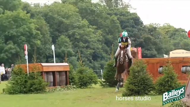 Кросс на лошади, конный спорт, верховая езда, Sia The Greatest смотреть онлайн