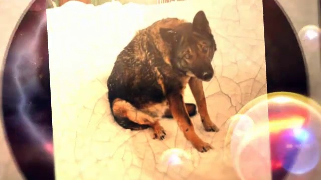 Квантовая энергия. Видео из фото. смотреть онлайн