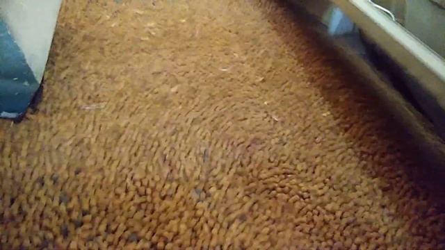 Chana Processing Video смотреть онлайн