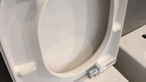 LAUFEN H8969513000001+ H8209660000001 PRO Rimless унітаз підвісний з кришкою Soft Closing