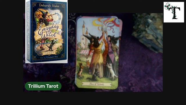 Everyday Witch Tarot смотреть онлайн