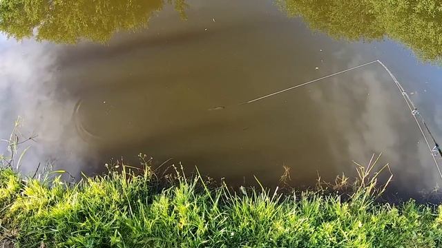 Идеальный ВОБЛЕР на ЩУКУ!  Копия или Оригинал! ОТЛИЧИЯ! Bearking Rudra и TsuYoki Chance