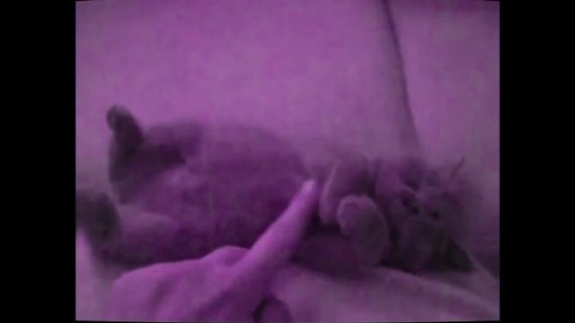 группа ЗЕМЛЯНИЧНАЯ ПОЛЯНА - На мосту смотреть онлайн